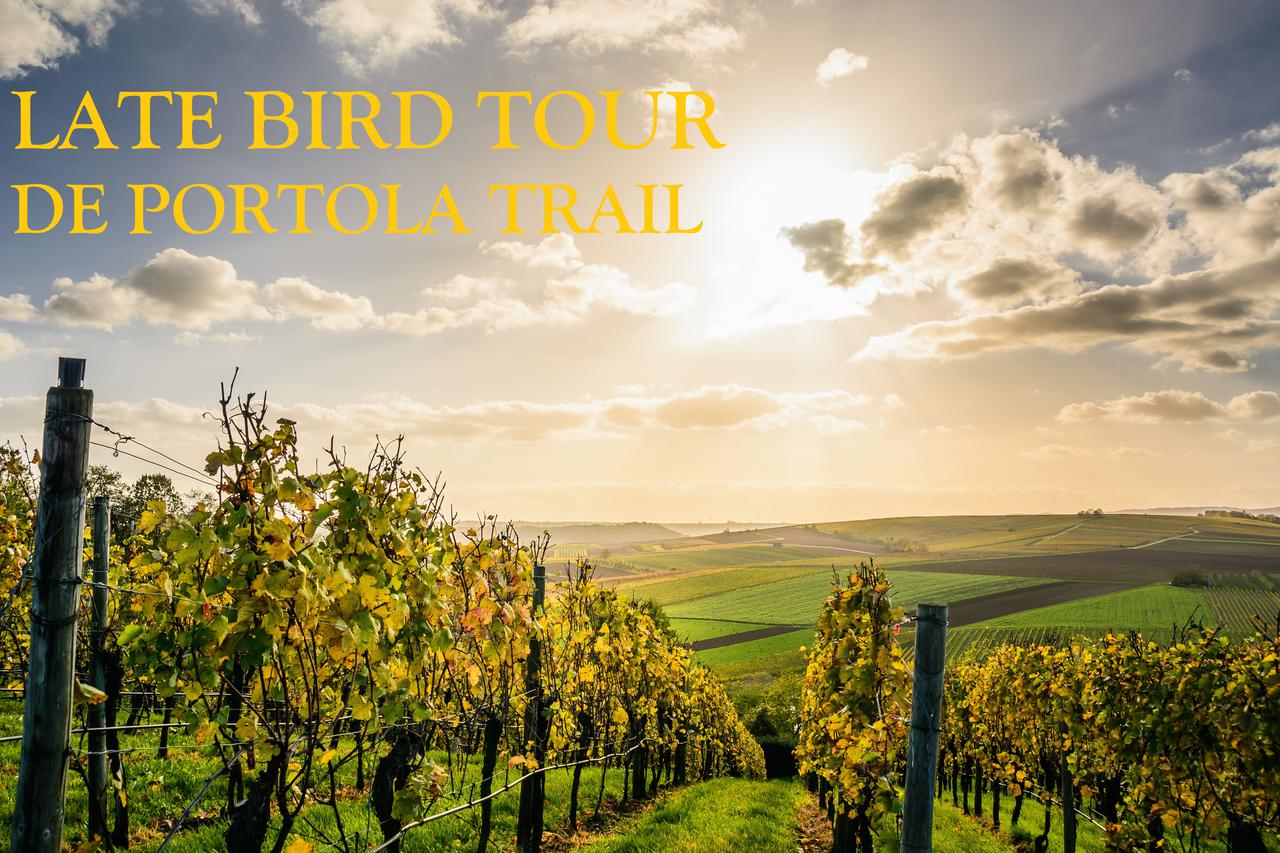 Late Bird Wine Tour