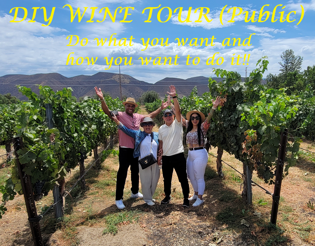 DIY Wine Tour Temecula Public